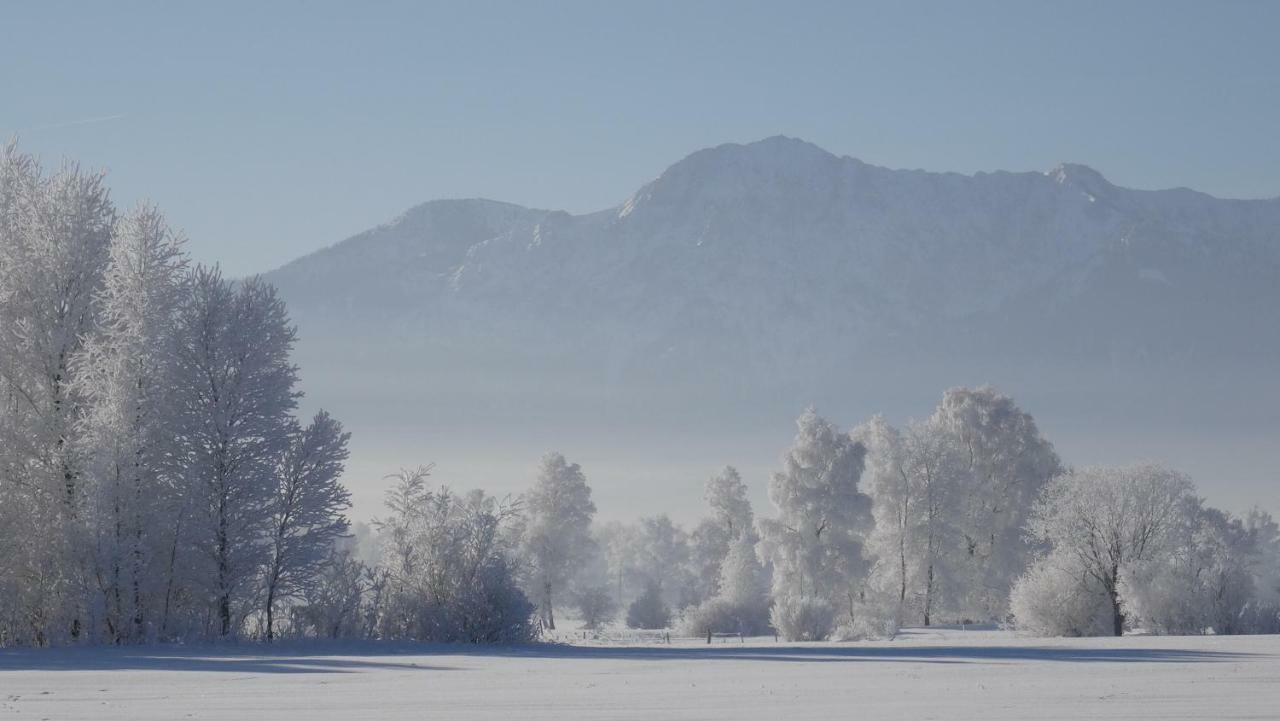 バート・コールグループIm-Oberland - Tal -アパートメント エクステリア 写真