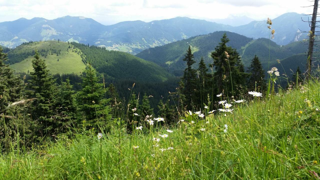 バート・コールグループIm-Oberland - Tal -アパートメント エクステリア 写真